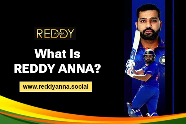 What is Reddy Anna | Reddy Anna